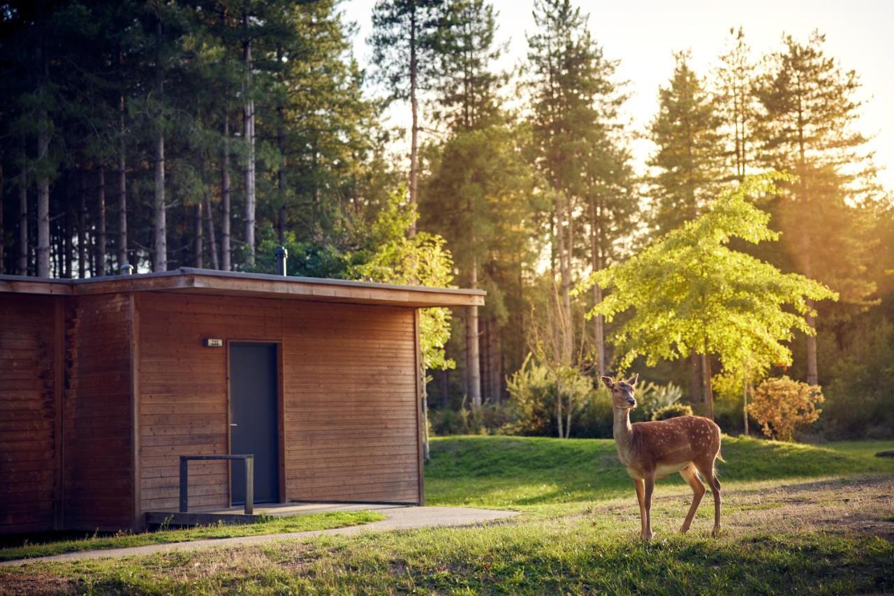 Center Parcs Le Bois Aux Daims Morton