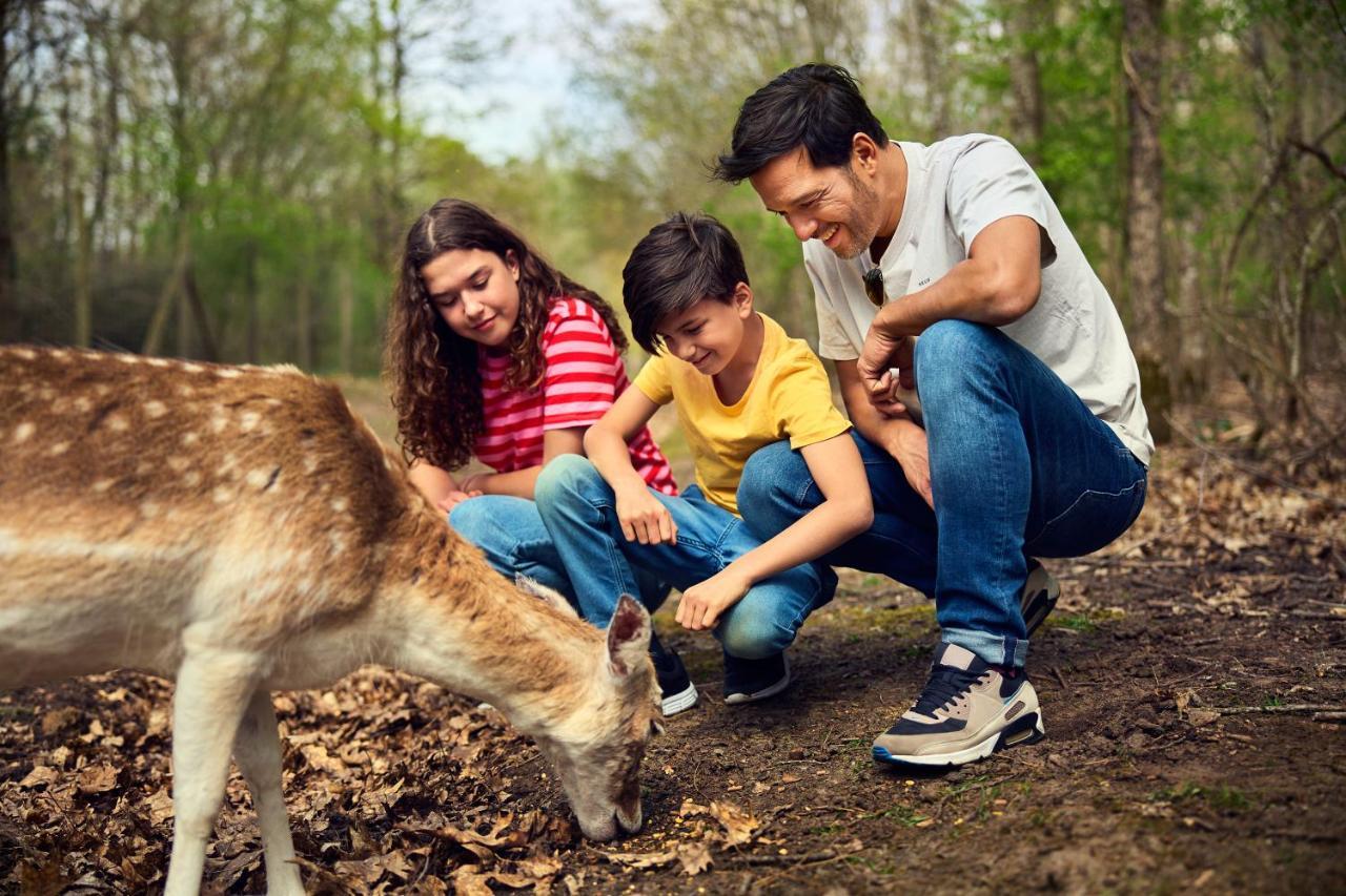 Center Parcs Le Bois Aux Daims Village de vacances Morton