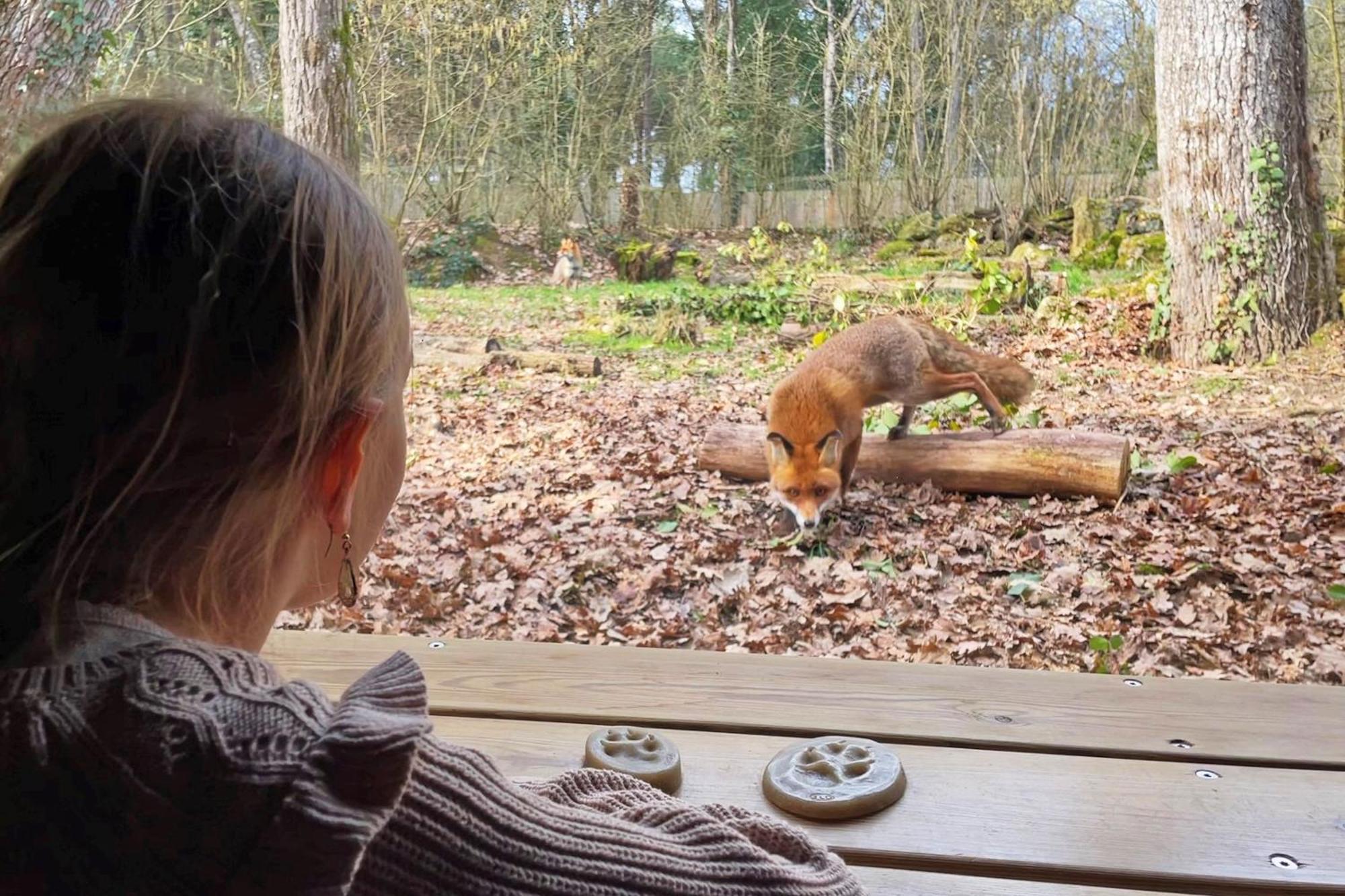 Center Parcs Le Bois Aux Daims